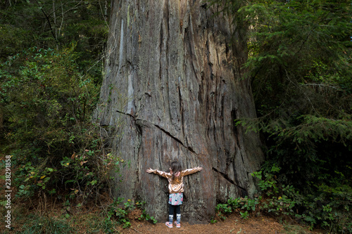 Kids Hiking at Lady Bird Johnson Grove Trail California Redwoods photo