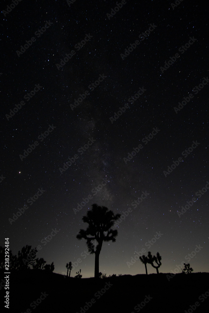 tree and moon galaxy silhouette