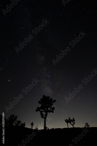 tree and moon galaxy silhouette