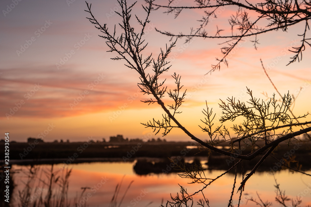 View of sunset on Ria de Aveiro, Ovar, Portugal. View of sunset on Ria de Aveiro, Ovar, Portugal.