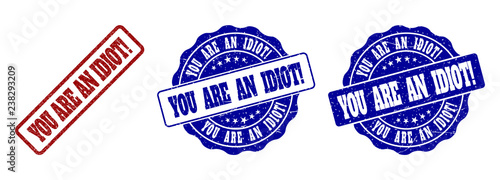 YOU ARE AN IDIOT! grunge stamp seals in red and blue colors. Vector YOU ARE AN IDIOT! signs with grunge effect. Graphic elements are rounded rectangles, rosettes, circles and text captions.
