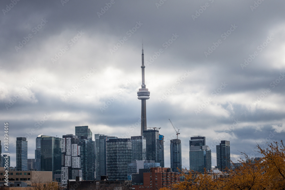 Toronto skyline, with the iconic towers and buildings of the Downtown and the CBD business skyscrapers taken from afar. Tonroto is the main city of Ontario and Canada, and an American finance hub