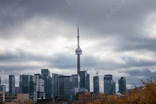 Toronto skyline, with the iconic towers and buildings of the Downtown and the CBD business skyscrapers taken from afar. Tonroto is the main city of Ontario and Canada, and an American finance hub