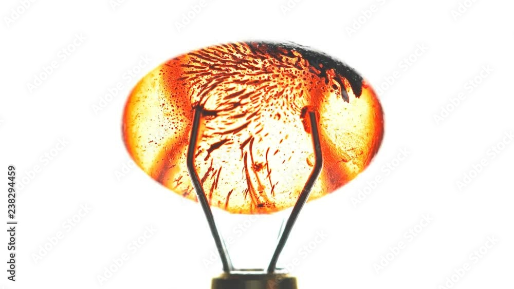 movement of black liquid inside the oval shell movement of black liquid inside the oval shell