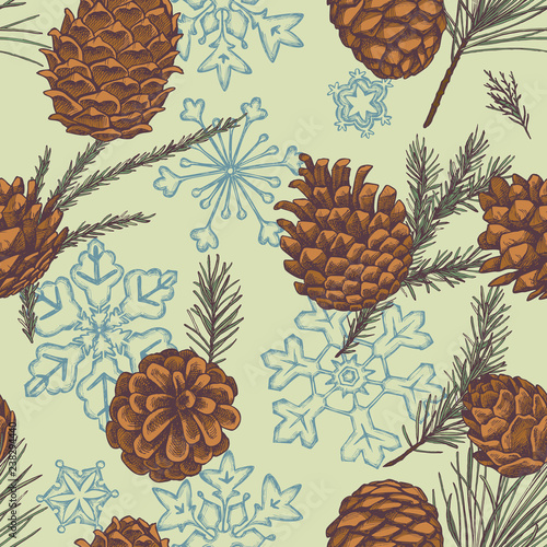 Seamless pattern with colored snowflakes, cones, pine branch, spruce, redwood