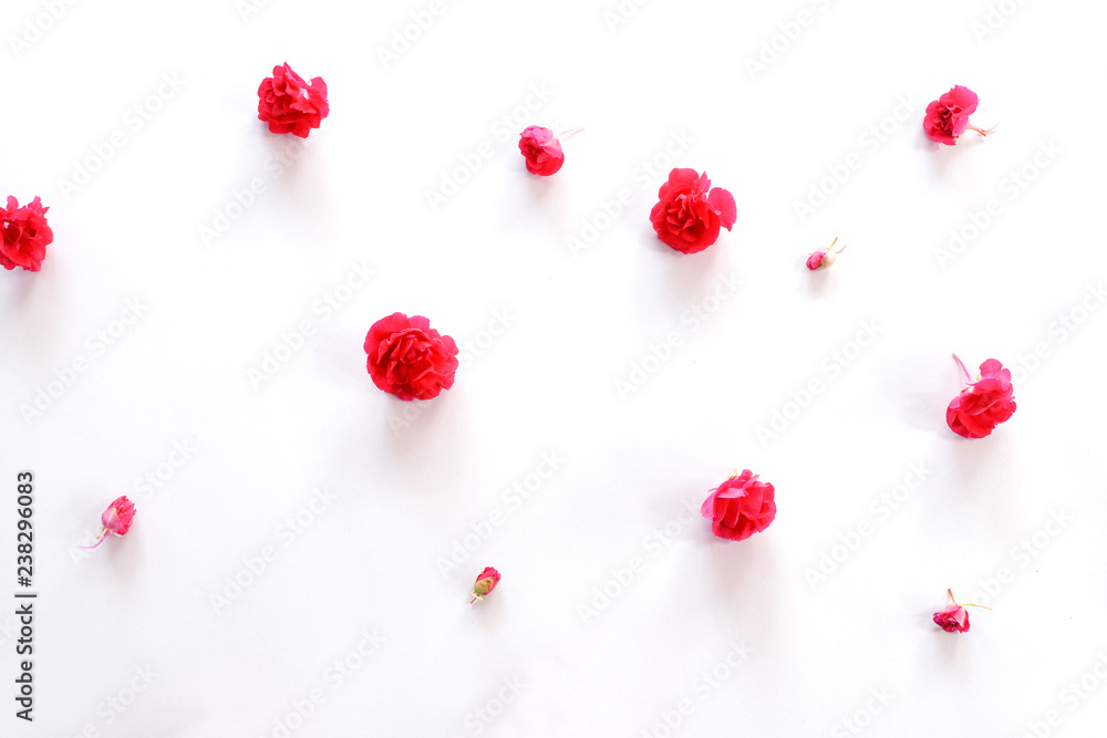 Flat lay frame composition with red flowers petals isolated on white background. Top view. Flat lay frame composition with red flowers petals isolated on white background. Top view.
