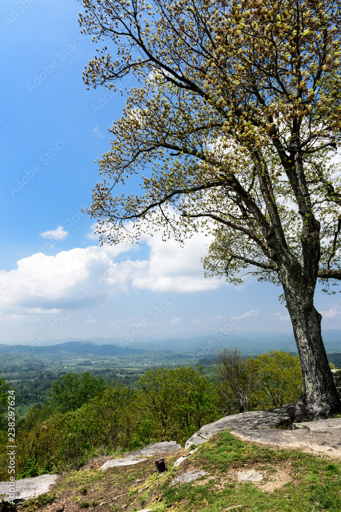 Jump off Rock Hendersonville North Carolina Jump off Rock Hendersonville North Carolina