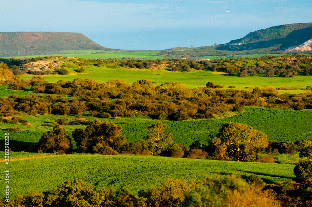 Pastures & Fields in Mid West - Western Australia