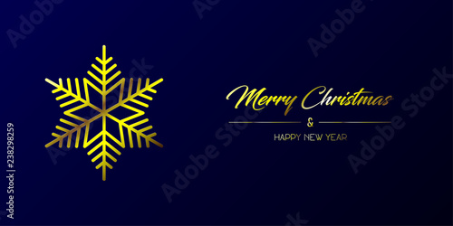 Vector illustration of greeting card with golden Merry Christmas and Happy New Year and flake