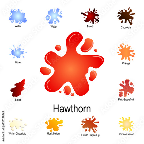 Fototapeta Naklejka Na Ścianę i Meble -  spurt of hawthorn juice icon. Detailed set of color splash. Premium graphic design. One of the collection icons for websites, web design, mobile app