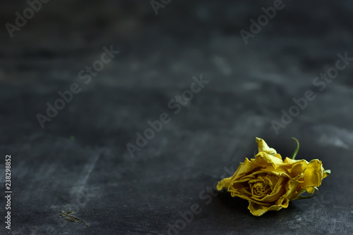 RÓŻA ZÓŁTA SUSZONA suszone kwiaty 