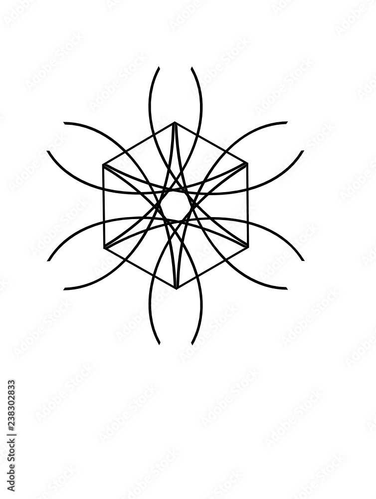 Ornate Geometric Pattern Ornate Geometric Pattern