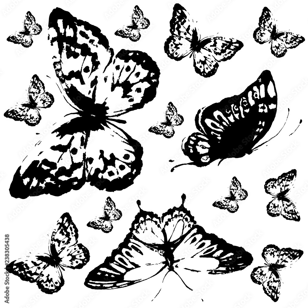 black butterfly, isolated on a white black butterfly, isolated on a white