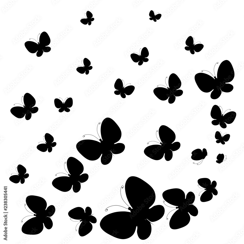 black butterfly, isolated on a white black butterfly, isolated on a white