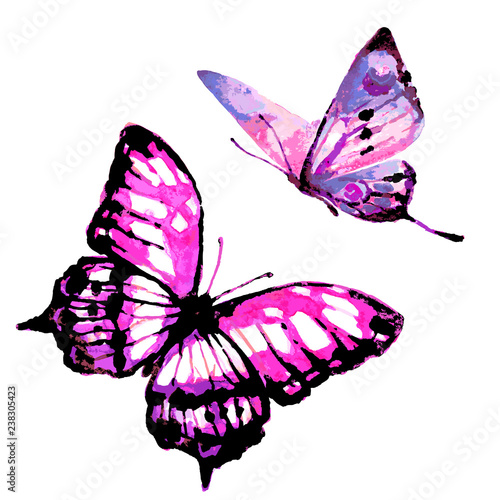beautiful butterfly,watercolor, isolated on a white