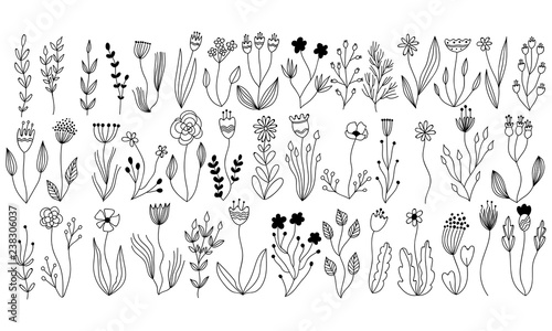 vector botanical collection of floral and herbal elements. isolated vector plants, branches and flowers in ink sketch design. hand drawn botanical doodle set for cards, invitations, logo, diy projects