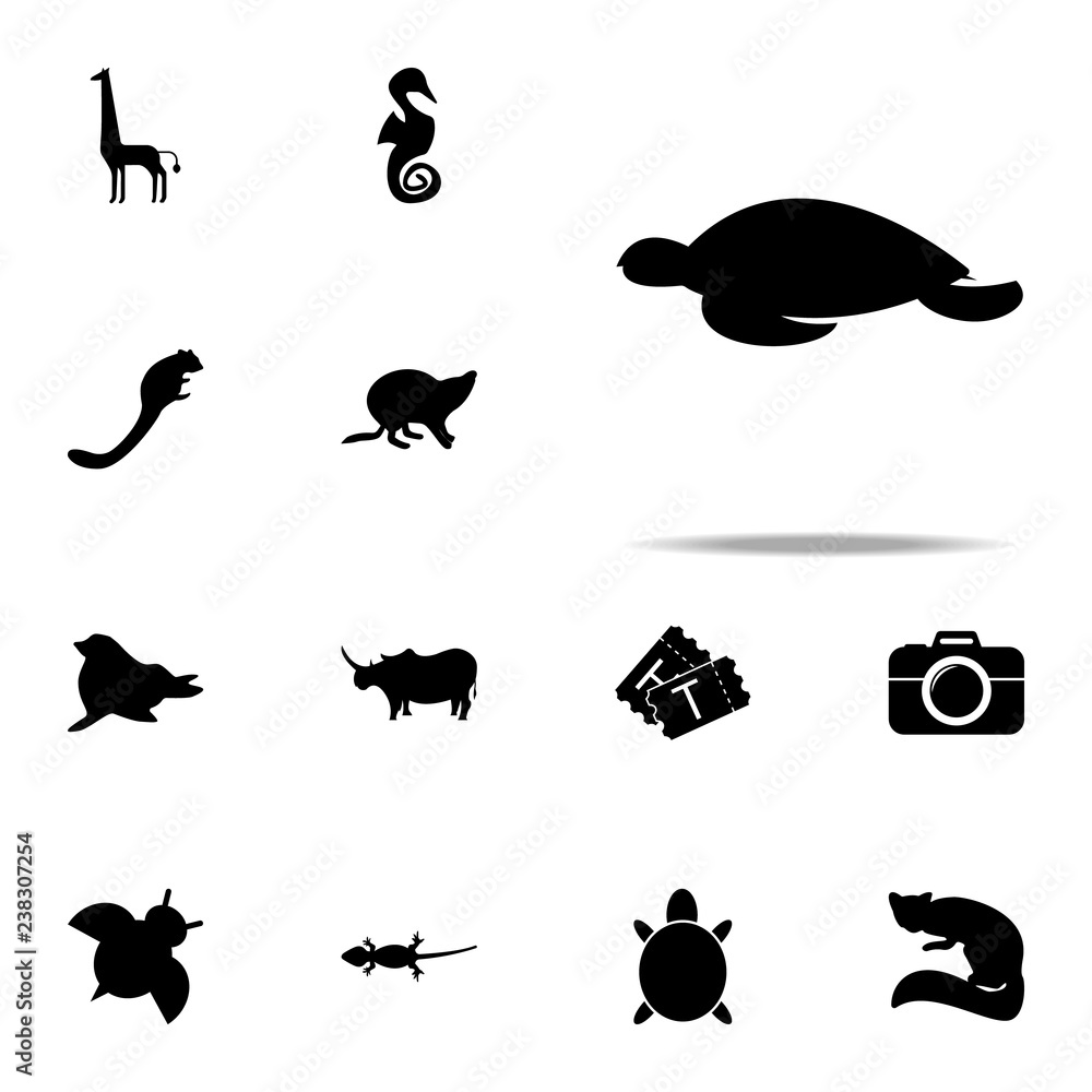 silhouette of a turtle icon. zoo icons universal set for web and mobile