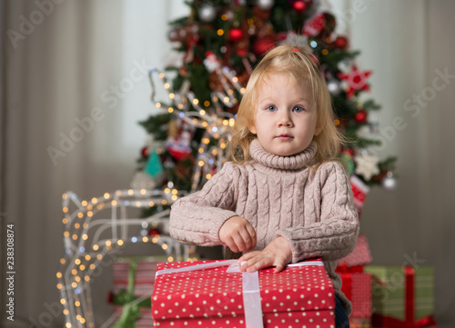 Little girl with Christmas