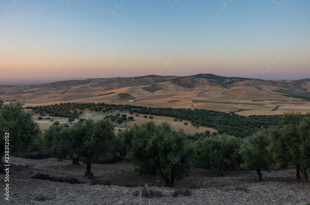 Fototapeta premium Hills near Meknes and Fez. Sunset landscape. Morocco