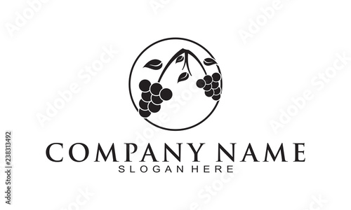 Grapes logo