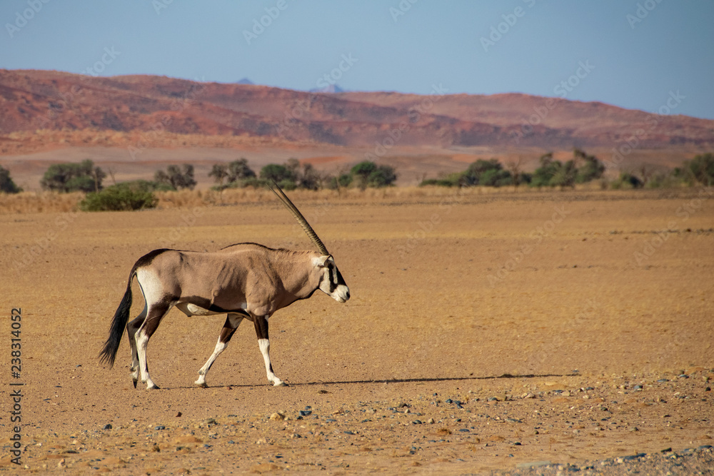 Naklejka premium 2018-10 Namibia