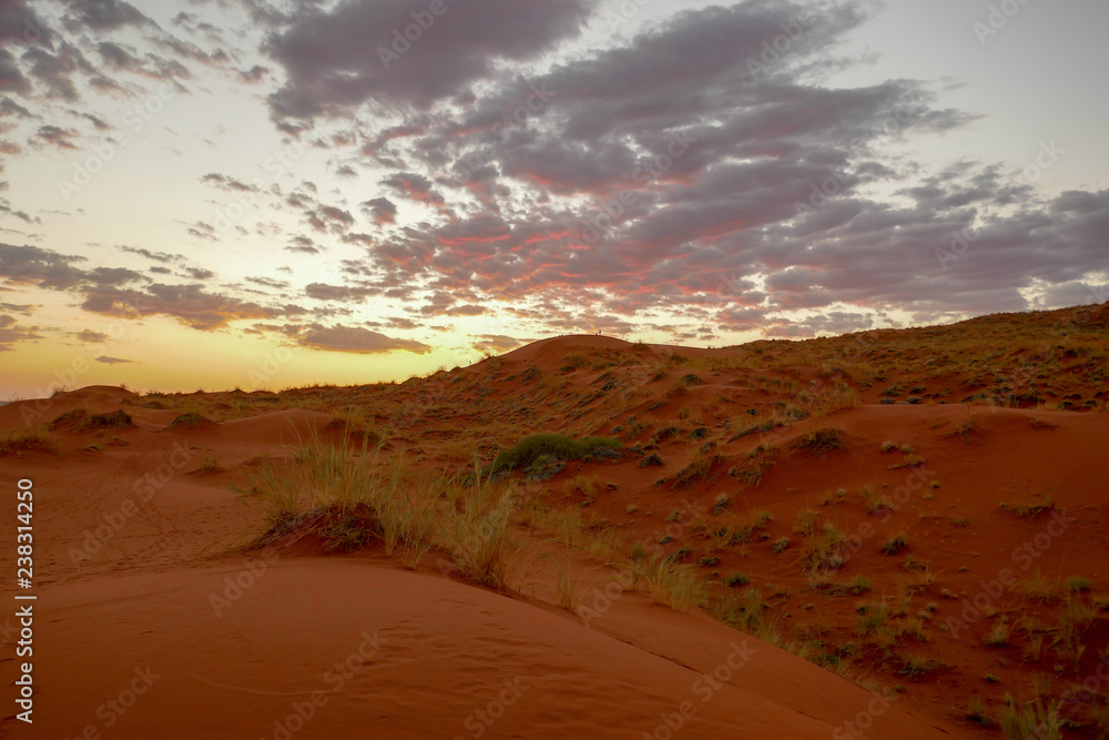 Fototapeta premium 2018-10 Namibia