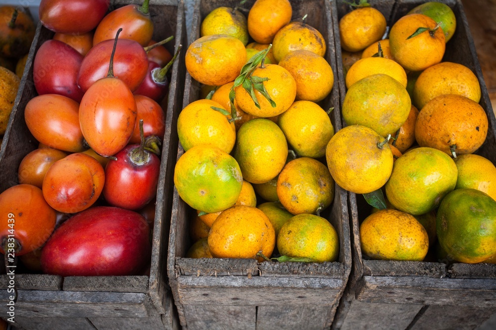 fresh tomatoes at the market