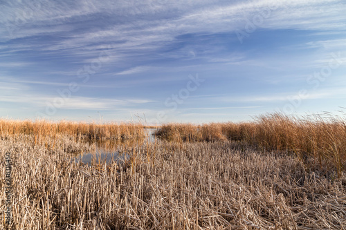 Lake in the steppe of kazakhstan in the autumn.