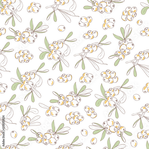 Sea buckthorn. Berry. Background, wallpaper, seamless, sketch. On a white background. Doodle.