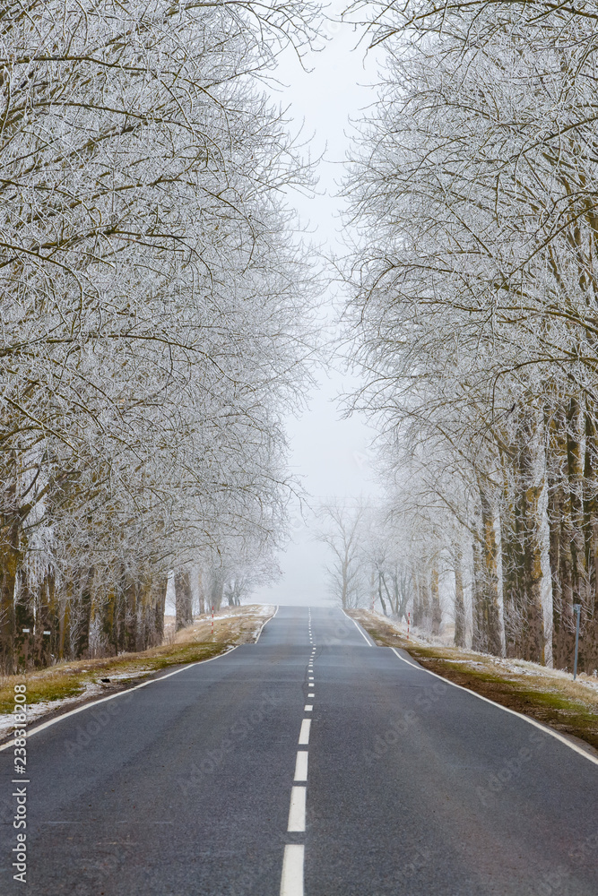 Straight road in the countryside. Trees in hoarfrost. Seasonal landscape