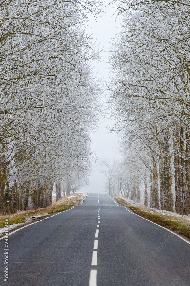 Straight road in the countryside. Trees in hoarfrost. Seasonal landscape Straight road in the countryside. Trees in hoarfrost. Seasonal landscape