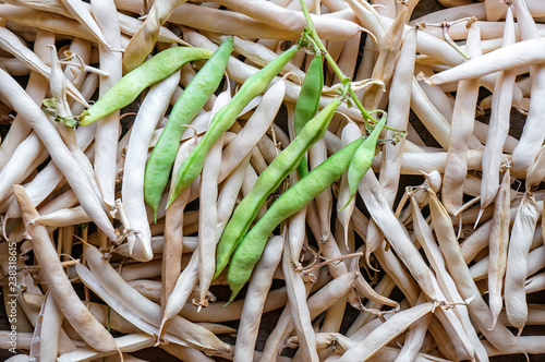 Sash pods of dried beans. Harvesting. Close-up. Background.