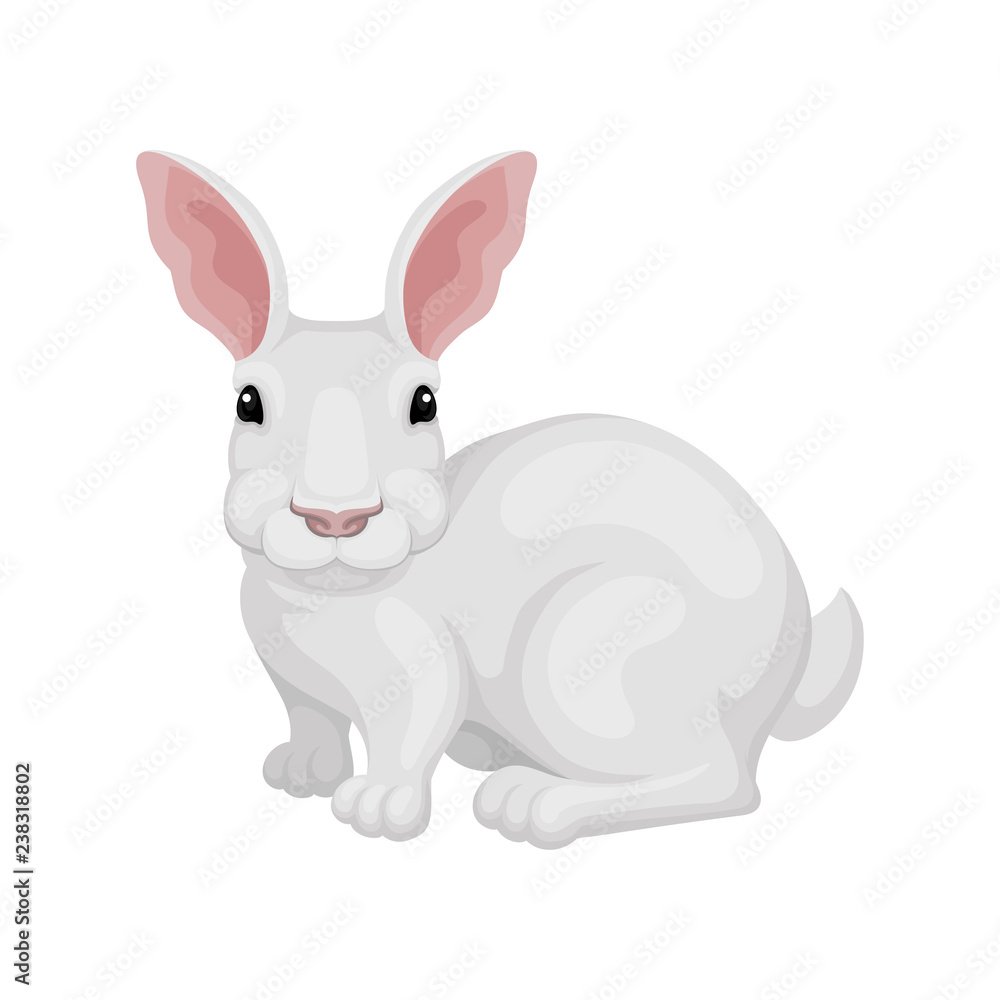 Flat vector icon of white rabbit, side view. Domestic or wild hare. Animal with long pink ears and short tail