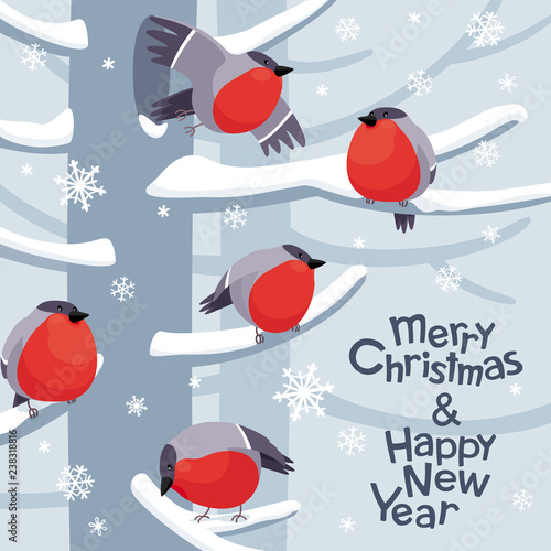 Funny Christmas Bullfinches vector