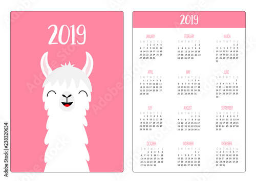 Llama alpaca head, smiling face with tooth. Simple pocket calendar layout 2019 new year. Week starts Sunday. Cute cartoon character. Vertical orientation. Flat design. Pink background.