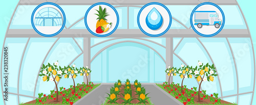 Harvesting in Greenhouse. Vector Flat Illustration