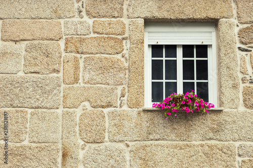 Window with flower pot in brick wall. Sandstone building exterior. Architecture and outdoor design concept. Europe travel background. Close window decoration. Ruural lifestyle. Old brick house.