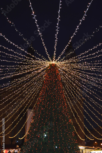 Photography Christmas tree in front of  St