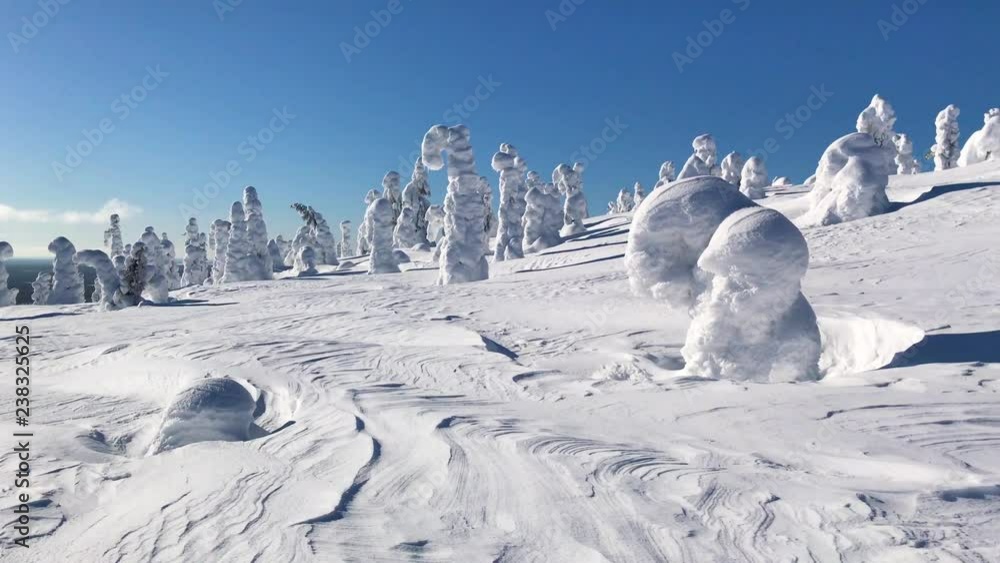 Cold winter with lot of snow and blue sky. Winter landscape in Finland Lapland, Riisitunturi National Park. Cold winter with lot of snow and blue sky. Winter landscape in Finland Lapland, Riisitunturi National Park.