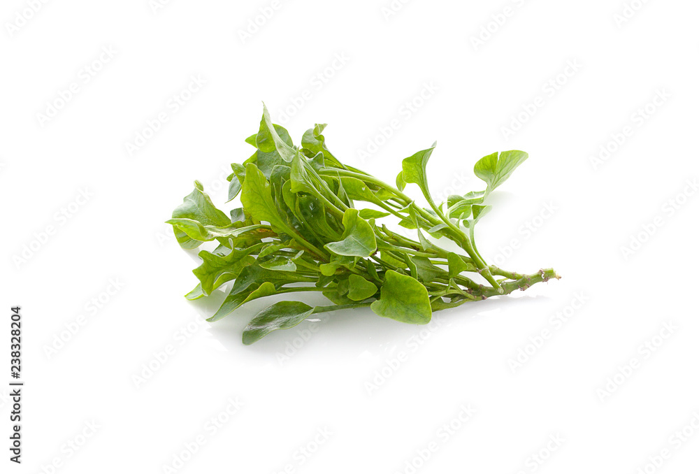 watercress isolated on white background watercress isolated on white background