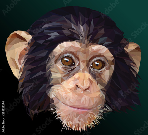 Low polygon vector of young chimpanzee face.