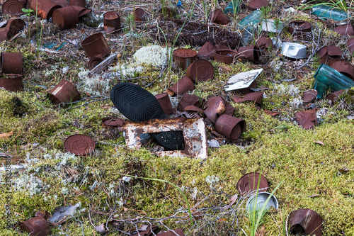 Environmental pollution of forest and forest-tundra zone of the Arkhangelsk region as a result of human economic activity. Catastrophic pollution of the planet.