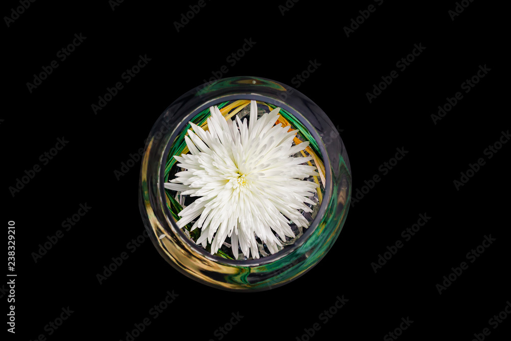 The close up white lotus on the water and leaf background in Thailand. The close up white lotus on the water and leaf background in Thailand.