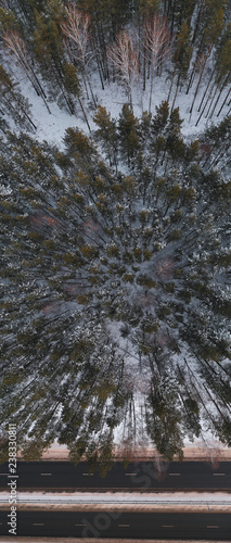 Aeria; drone panoramic view of early winter sunset, mixed forest of birches and pine trees, mountains on the background, top down view, road in the forest with snow roadsides, South Ural, Russia