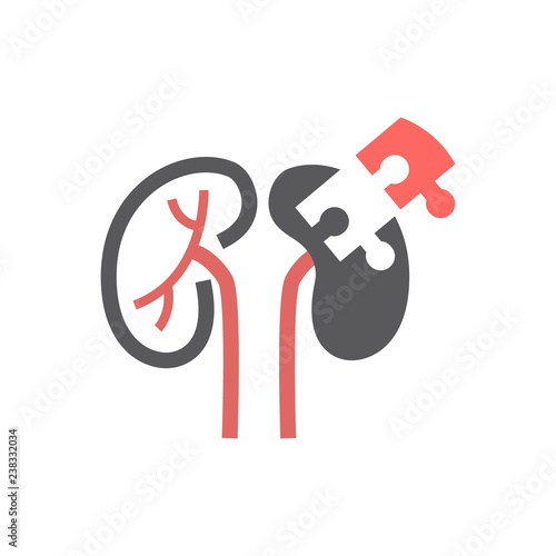Kidneys line Icon. Vector sign for web graphic.