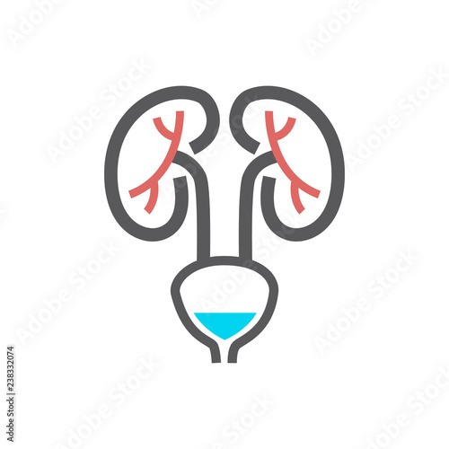 Kidneys line Icon. Vector sign for web graphic.