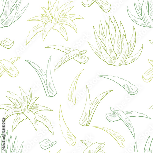Aloe vera graphic color seamless pattern background sketch illustration vector