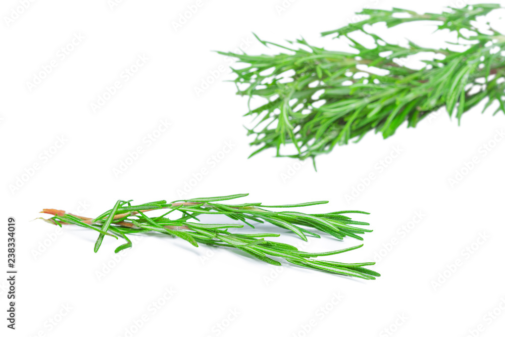 Fototapeta premium fresh rosemary bunch isolated on white background