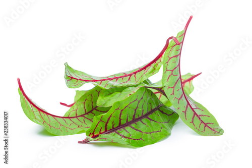 fresh beet leaf isolated on white background