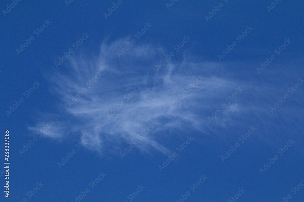 A white wispy cloud against a beautiful blue sky. A white wispy cloud against a beautiful blue sky.